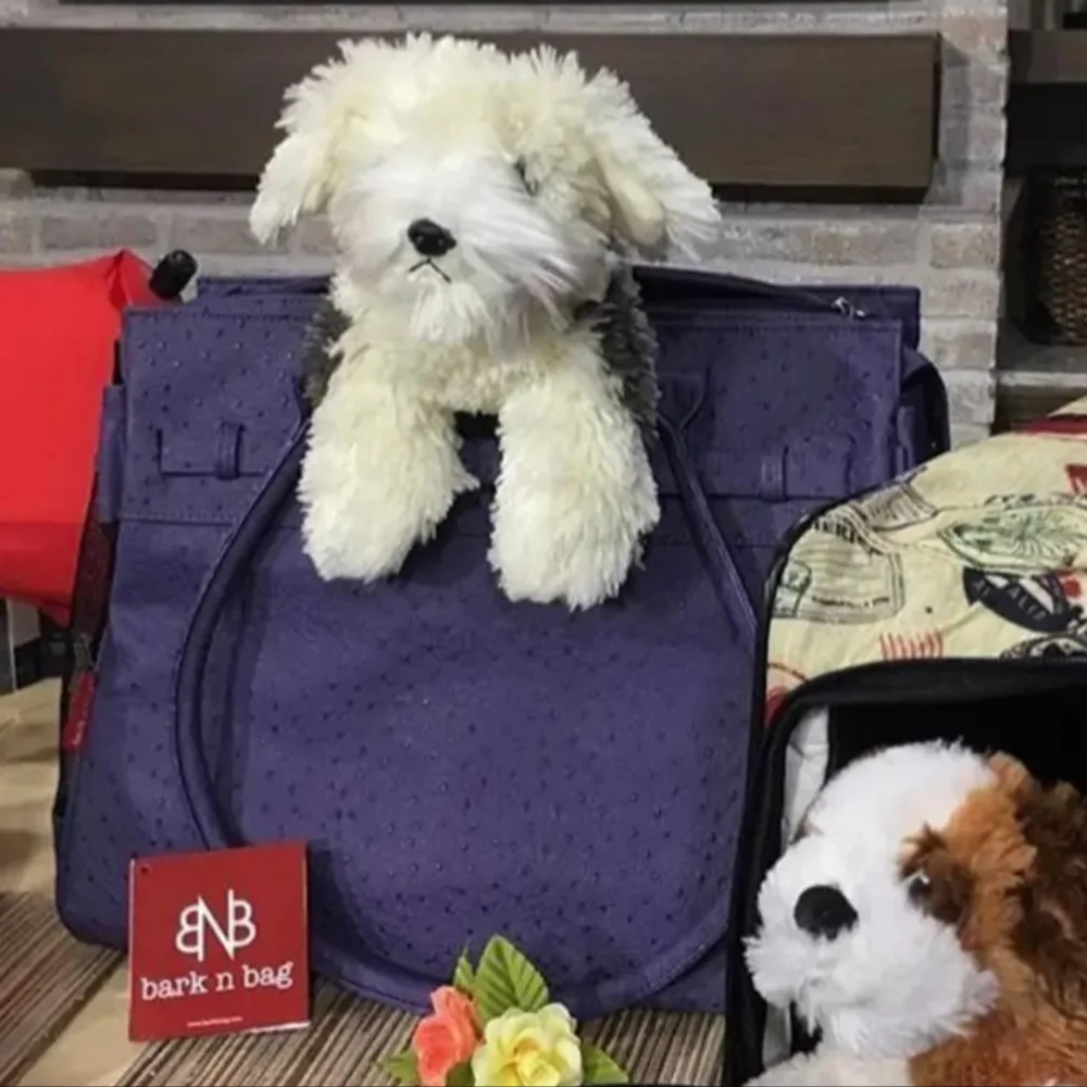 Pet Carrier